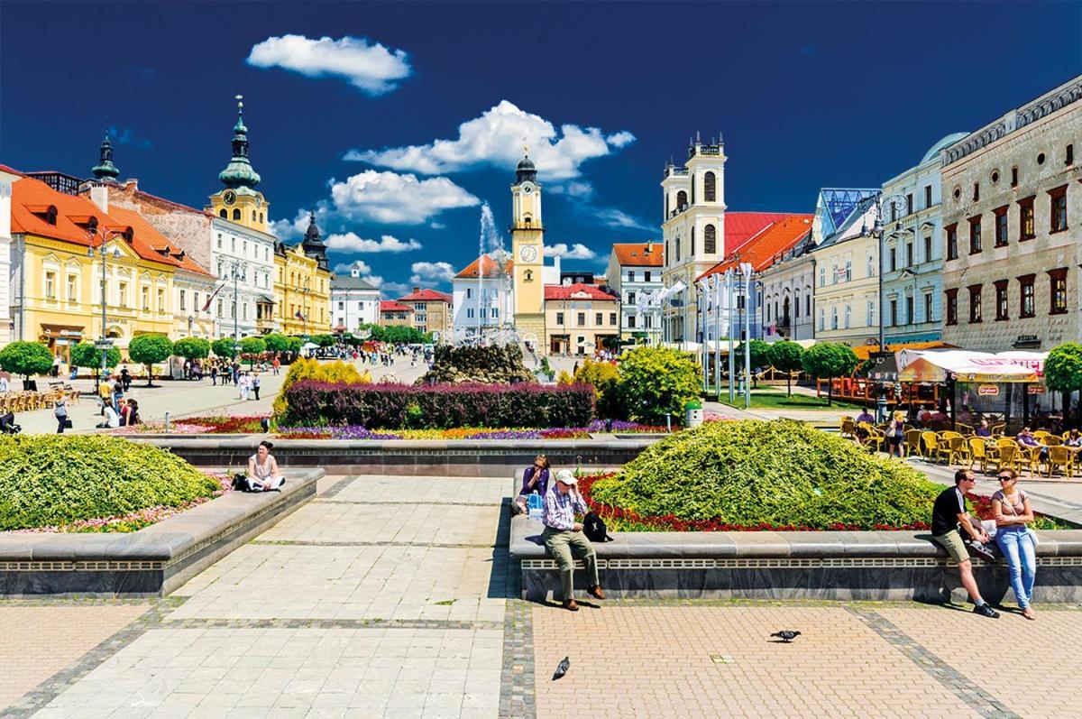Apartman Central, Self Check In 24 H, Free Parking Banská Bystrica Exterior photo